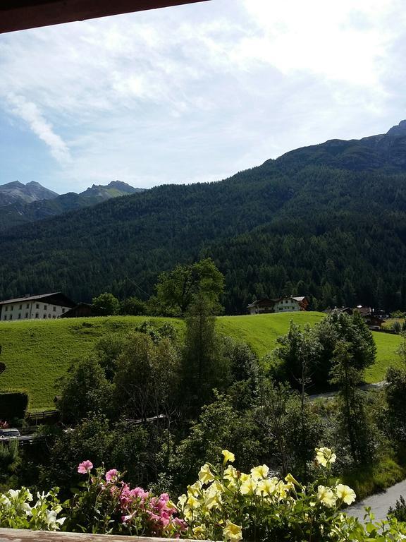 Appartement Haus Pinnistor *