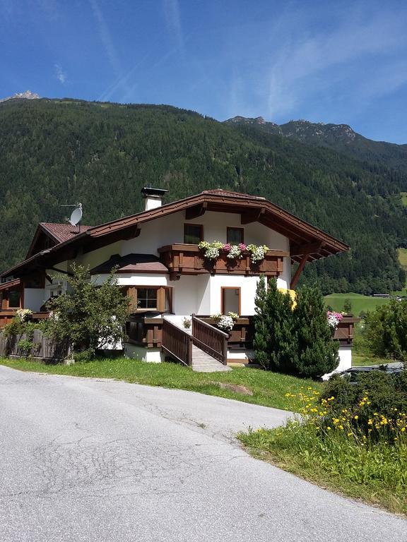 Haus Pinnistor